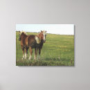Recherche de mur de cheval art Ferme