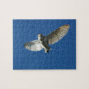 Zoek naar vliegende vogel puzzels Vlucht