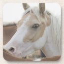 Recherche de troupeau chevaux de dessous de verres Faune