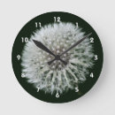 Recherche de de pissenlit horloges Floral