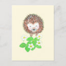 Zoek naar hedgehog briefkaarten Egel