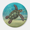 Zoek naar turtle magneten Zee