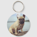 Recherche de french bulldog porteclés Canine