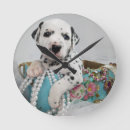 Recherche de dalmatien horloges Chiot