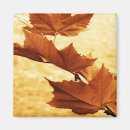 Recherche de couleur marron magnets Automne