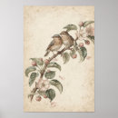 Recherche de oiseaux chanteurs posters Contenugénératif