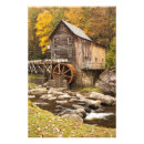 Recherche de bois posters Parc