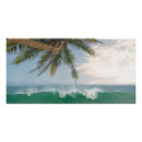 Recherche de cocotier posters Île