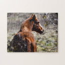 Zoek naar bruine paarden puzzels Equine