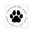 Recherche de animal lover Animal de compagnie
