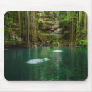 Recherche de forêt tropicale tapis souris Dehors