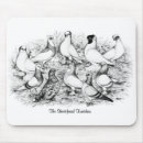 Recherche de pigeons tapis souris Animal