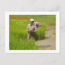 Recherche de cambodge cartes postales Campagne