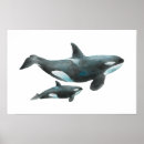 Recherche de biologie marine posters Illustration