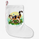 Recherche de chat chaussette de noël Calico