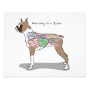 Recherche de anatomie chien posters Pour tous