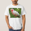Recherche de cacatoès tshirts Perroquet