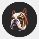 Recherche de bulldog autocollants Drôle
