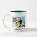 Recherche de bergers australiens tasses Animal
