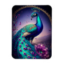 Recherche de oiseaux exotiques magnets Animaux