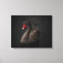 Zoek naar watervogels kunst Zwaan