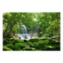Zoek naar tropische waterval posters Groen