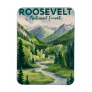 Recherche de naturel magnets Forêt nationale