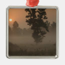 Zoek naar mist ornamenten Park