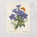 Recherche de redoute cartes postales Nature