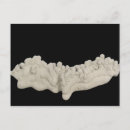 Recherche de science naturelle cartes postales Arrière plan noir