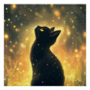Recherche de chat noir posters Nuit