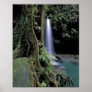 Recherche de forêt tropicale art Luxuriant