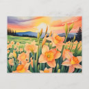 Recherche de jonquilles cartes postales Orange