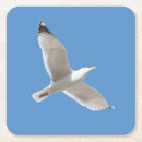 Recherche de volant dessous de verres Nature
