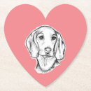 Recherche de teckel dessous de verres Chiot