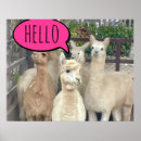 Recherche de peinture lama posters Animaux