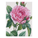 Zoek naar vintage botanische posters Roze