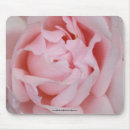 Recherche de pétales roses tapis souris Fleurs