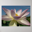 Zoek naar blauwe lotusbloem kunst Floreel