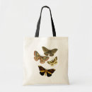 Recherche de mites sacs Papillon