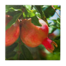 Zoek naar pomegranate tegels Vruchten