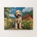 Zoek naar labradoodle puzzels Puppy