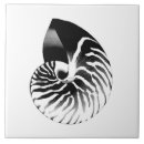 Recherche de nautilus carreaux Blanc