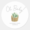 Recherche de succulent baby shower Simple