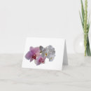 Recherche de orchidée noire vœux cartes Nature
