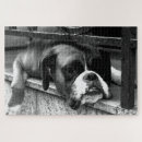 Recherche de boxer puzzles Boxeur