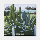 Zoek naar cactussen magneten Cacti