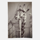 Recherche de girafe cuisine linges Zoo