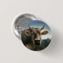 Recherche de vache laitière badges Animaux de ferme