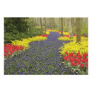 Recherche de floraisons posters Néerlandais